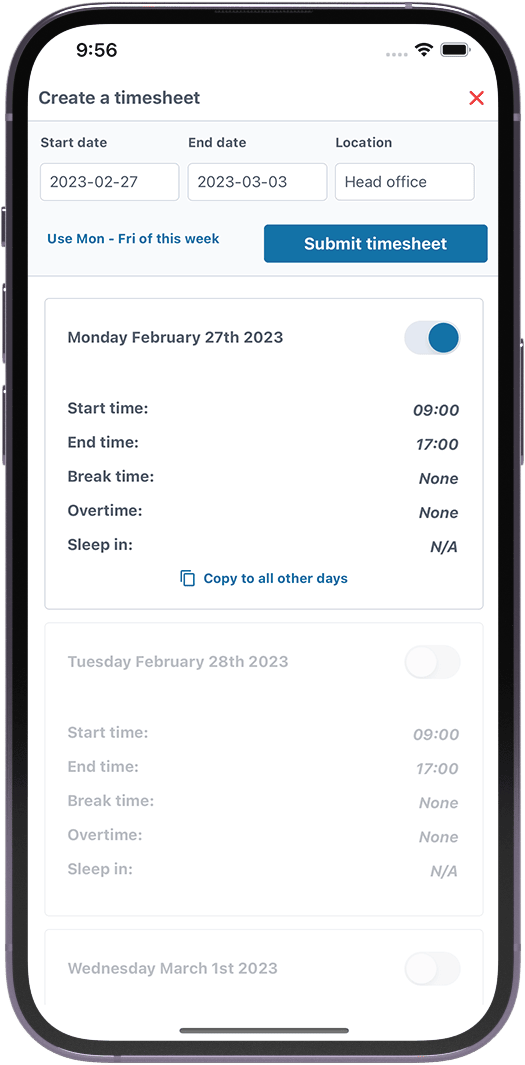 App screenshot (timesheet)